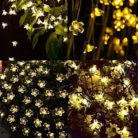 RSP Quality Bit 20 LEDs 5 m Yellow Steady Flower Rice Lights Pack of 1-thumb2