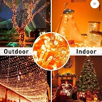 spark world 40 LEDs 11 m Orange Steady Bulb Rice Lights (Pack of 1)-thumb3