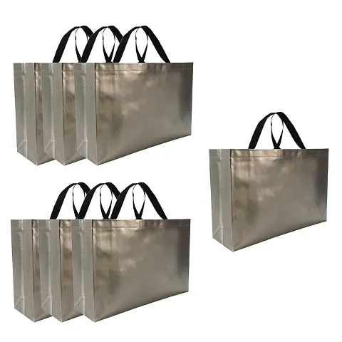 FABLOO Reusable Carry Bags for Gifting, Non Woven Totes Bags for Shopping, Wedding, Groceries etc.Size 17x5x12 inches. (Pack of 5, Silver)