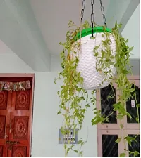 Euro 7''inch Green Flower Pots| Hanging Planters with Metal Hanging Chain| Indoor Outdoor Flower Pot Garden Balcony|(Pack of 6)-thumb2