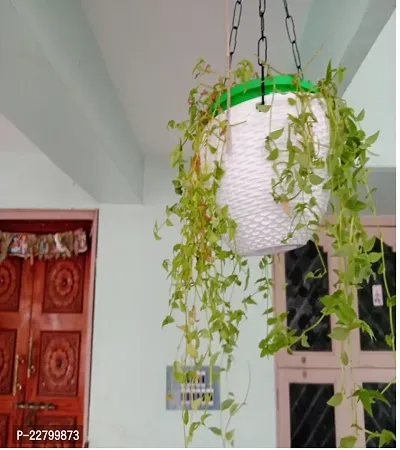 Euro 7''inch Green  Flower Pots| Hanging Planters with Metal Hanging Chain| Indoor Outdoor Flower Pot Garden Balcony|(Pack of 6)-thumb3