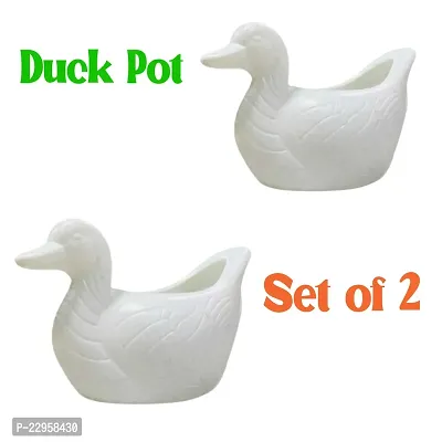 Duck Pot combo of 2 pcs Indoor/Fancy Office Flower pot Table Pot