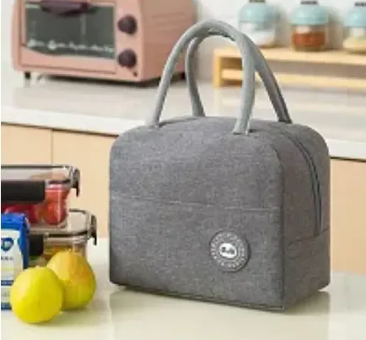 Insulated Travel Lunch/Tiffin/Storage Handbags