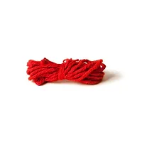 Original Certified 2 Mukhi Two Faced Nepali Rudraksha Beads Pendant with Red Thread Simple Loose Bead Locket For Men & Women-thumb2