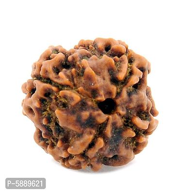 Natural 4 Face Four Mukhi Nepali Rudraksha Simple Pendant with Red Thread Shiva Devotional Locket Original and Certified Astrology Jewelry For Men Women-thumb2