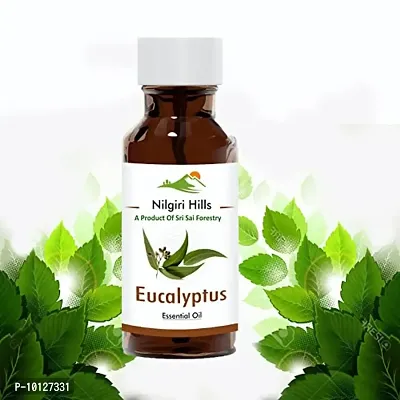 Nilgiri Hills Eucalyptus Oil | 100% Natural and Pure Eucalyptus Aroma Essential Oil 100 ml