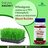 Benmoon Wheat Grass Capsules(Ayurvedic) (For Build Immunity  Natural Detoxifier)-thumb1