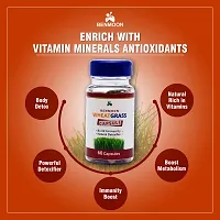 Benmoon Wheat Grass Capsules(Ayurvedic) (For Build Immunity  Natural Detoxifier)-thumb2