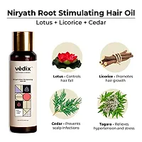 Vedix Customized Hair Fall Control Regimen for Normal/Oily Hair - Oily Scalp  Straight Hair - Customized Ayurvedic Hair Care Regimen - 3 Product Kit - Anti Hair Fall Oil Berberis + Banyan - Anti-Hair-thumb1