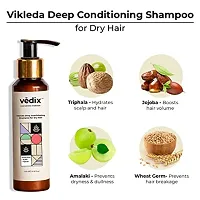 Vedix Customized Hair Fall Control Regimen for Normal/Oily Hair - Oily Scalp  Straight Hair - Customized Ayurvedic Hair Care Regimen - 3 Product Kit - Anti Hair Fall Oil Berberis + Banyan - Anti-Hair-thumb3