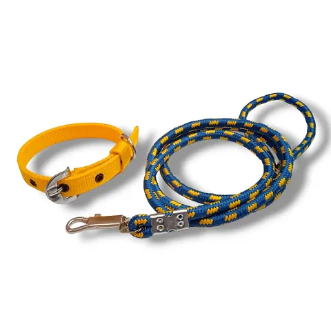 Latest Dog leash