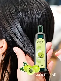 Amway Pack of 4 Amla Hair Oil-thumb2