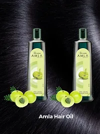 Persona Amla Hair Oil (2 packs of 200 ml each)-thumb1