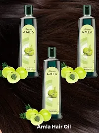 Persona Amla Hair Oil (3 packs of 200 ml each)-thumb1