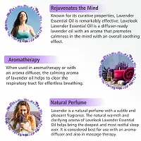 Lovelook Lavender Essential Oil - Pure Natural Use For Aromatherapy, Therapeutic Grade, Health Boost, Hair Re-Growth, Face  Skin Care-thumb1