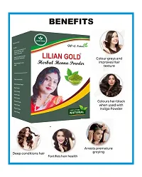 Lilian Gold 100% Pure Natural Herbal Henna Powder For Hair | Mix Of 8 Herbals Mehendi Powder For Organic Hair Colour | (150+150) Grams-thumb1