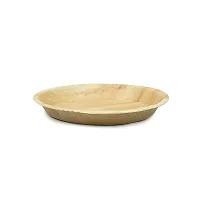 Crazy Sutra Wood Plates - Pack of 20pc, Multicolour-thumb2