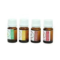 Crazy Sutra Latest Fragrance Oil for Soap Making Combo Pack of 10ml Each (Coffee, Mango, Green Apple and Limon Orange)-thumb1