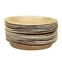 Crazy Sutra Wood Plates - Pack of 20pc, Multicolour-thumb3