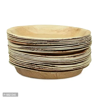 Crazy Sutra Wood Plates - Pack of 20pc, Multicolour-thumb4