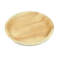 Crazy Sutra Wood Plates - Pack of 20pc, Multicolour-thumb1