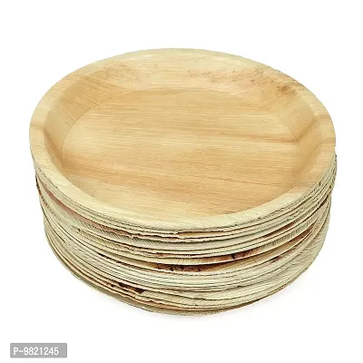 Crazy Sutra Wood Plates - Pack of 20pc, Multicolour-thumb0