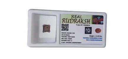 08 Mukhi Rudraksha - Lab Certified For Men Or Women-thumb2