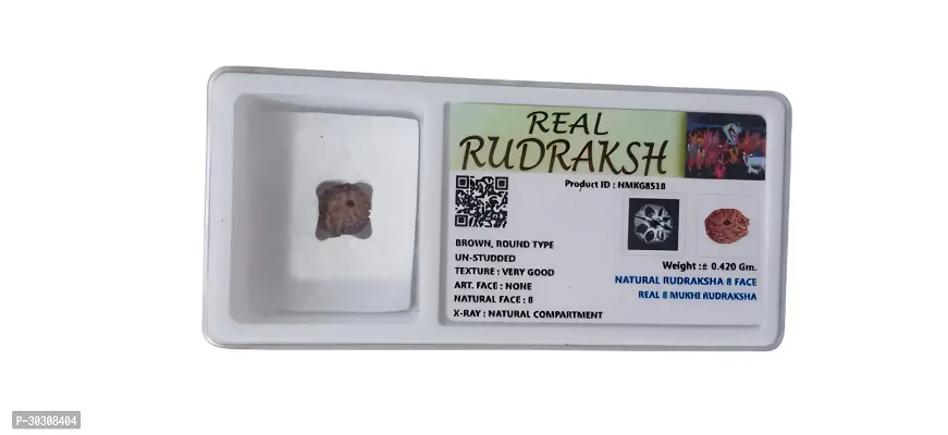 08 Mukhi Rudraksha - Lab Certified For Men Or Women-thumb3