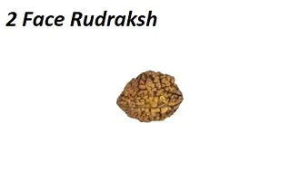 Do Mukhi Rudraksha For Men and Women-thumb1