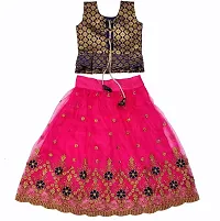 Pink Net Embroidered Lehenga Cholis-thumb1