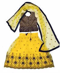 KRITIKA TEX Girl's New Readymade Net lehenga choli and Dupatta set(2-15Years)-thumb1