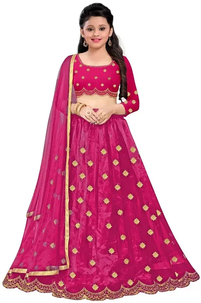 Beautiful Net Lehenga Cholis 