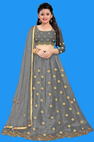 Beautiful Net Lehenga Cholis 