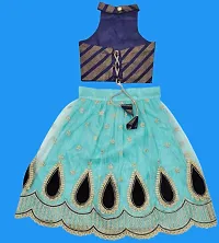 Kids Lehenga Choli Duptta set-thumb2