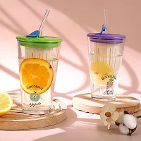 Glass Tumbler with Fruit Infuser Lid and Straw (500ML, Pack of 1, Multicolor)-thumb1