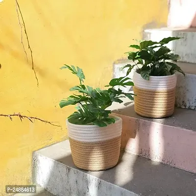 Jute  Cotton Planter Basket/Pot Bag, Plant Sack for Home Decor (Set of 2)-thumb3