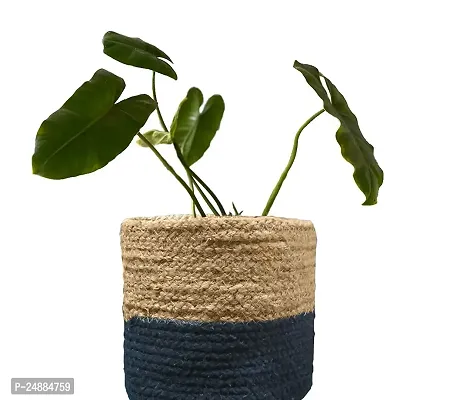 Jute  Cotton Planter Basket/Pot Bag, Plant Sack for Home Decor (Set of 2)-thumb4