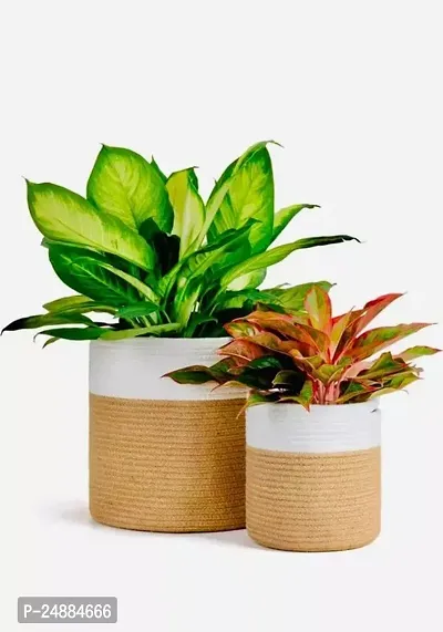 Jute  Cotton Planter Basket/Pot Bag, Plant Sack for Home Decor (Set of 2)