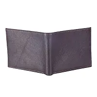 DRYZTOR Artificial/PU Leather Wallet for Men Double Card parda-thumb4