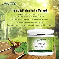 Jovees Herbal Mehandi for Natural Color | 100% Herbal with Henna  Brahmi- 150 g-thumb3