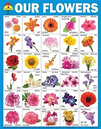 Educational Kids learning Laminated Wall Chart-thumb3