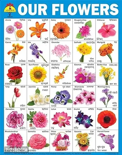 Educational Kids learning Laminated Wall Chart-thumb4