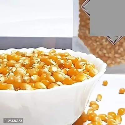 Popcorn Seeds  100% Popping Kernels - Popcorn kernels soft, Butterfly Popcorn Maize , Corn Kernels , Pop-Corn makka (Makai) 100 Gm-thumb0