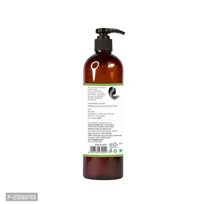 NATUUR - Aloe Vera Amla Shikakai Shampoo - 500ml | Smoothening | Sulfate-Free | Natural Ingredients | Deep Cleansing  Conditioning | Paraben-Free | Ideal for All Hair Types I Vegan and plant based-thumb3