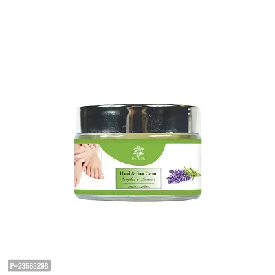 NATUUR - Cocoa, Camphor  Lavender Hand and Foot Cream - 100g | Moisturizes  Conditions Dry Skin | Restores Natural Moisture Balance | Delightful Aroma | Calming  Soothing