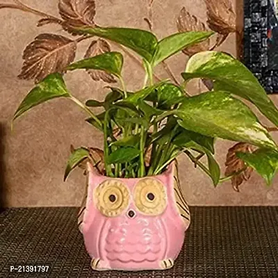 Premium Quality Pink Owl Shape Ceramic Flower Pots Planters With Beige Eyes