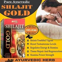 Shilajit Gold By Kamveda - 30 Cap (Single Pack)-thumb1