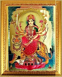 Suninow Navratri Pooja Kit/Devi Pooja Kit/Durga Pooja Kit/Navratri Pooja samagri/Navratri Pooja with Devi MATA Photo with Shringar-thumb4