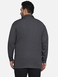 Cotton Plus Size Regular Fit Stripe Full Sleeve Polo Neck T-shirt-thumb4