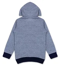 Boys  Girls Grey Cotton Sweatshirts  Hoodies Pack Of 1-thumb1